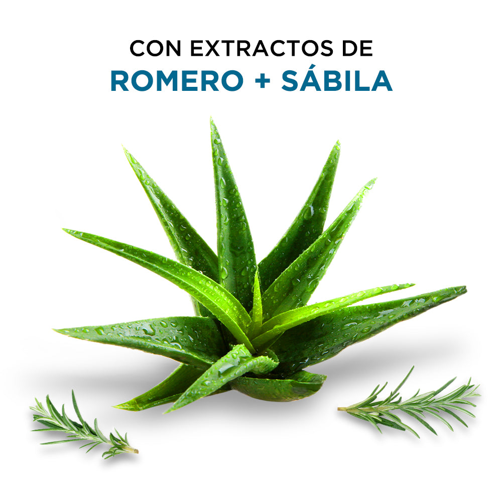 SHALOM shampoo anticaspa Sábila   y Romero 32oz